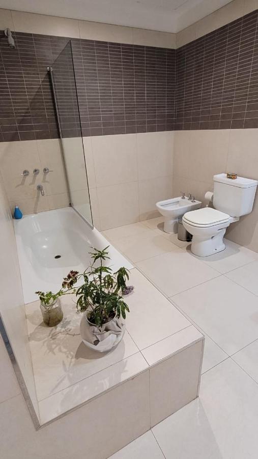 Vivaterra Apartments - San Telmo Buenos Aires Eksteriør billede
